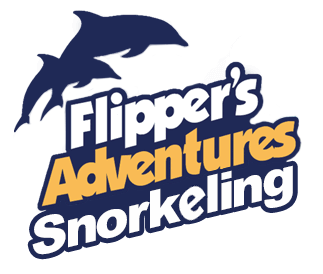 https://sunshinedestin.com/wp-content/uploads/2022/05/Flippers_Adventures_Destin_Snorkel.png