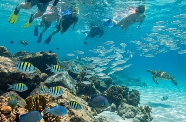What Can You See While Snorkeling in Destin?