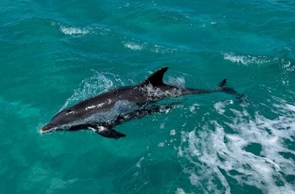 What Are The Best Family Friendly Water Activities I Can Do In Destin Florida?