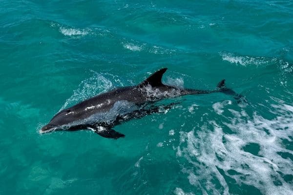 What Are The Best Family Friendly Water Activities I Can Do In Destin Florida?